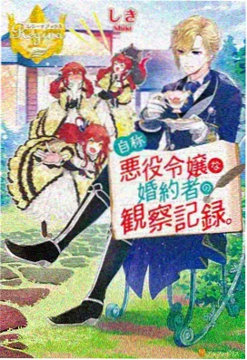 风之低语 风车动漫dm530